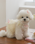 Load image into Gallery viewer, Fall In Love Dress - Lovely Pink