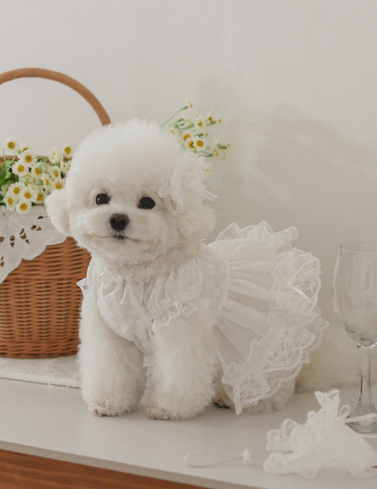 Fall In Love Dress - Pure White