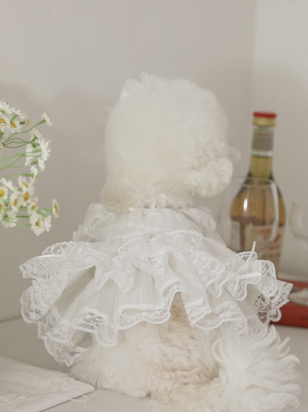 Fall In Love Dress - Pure White