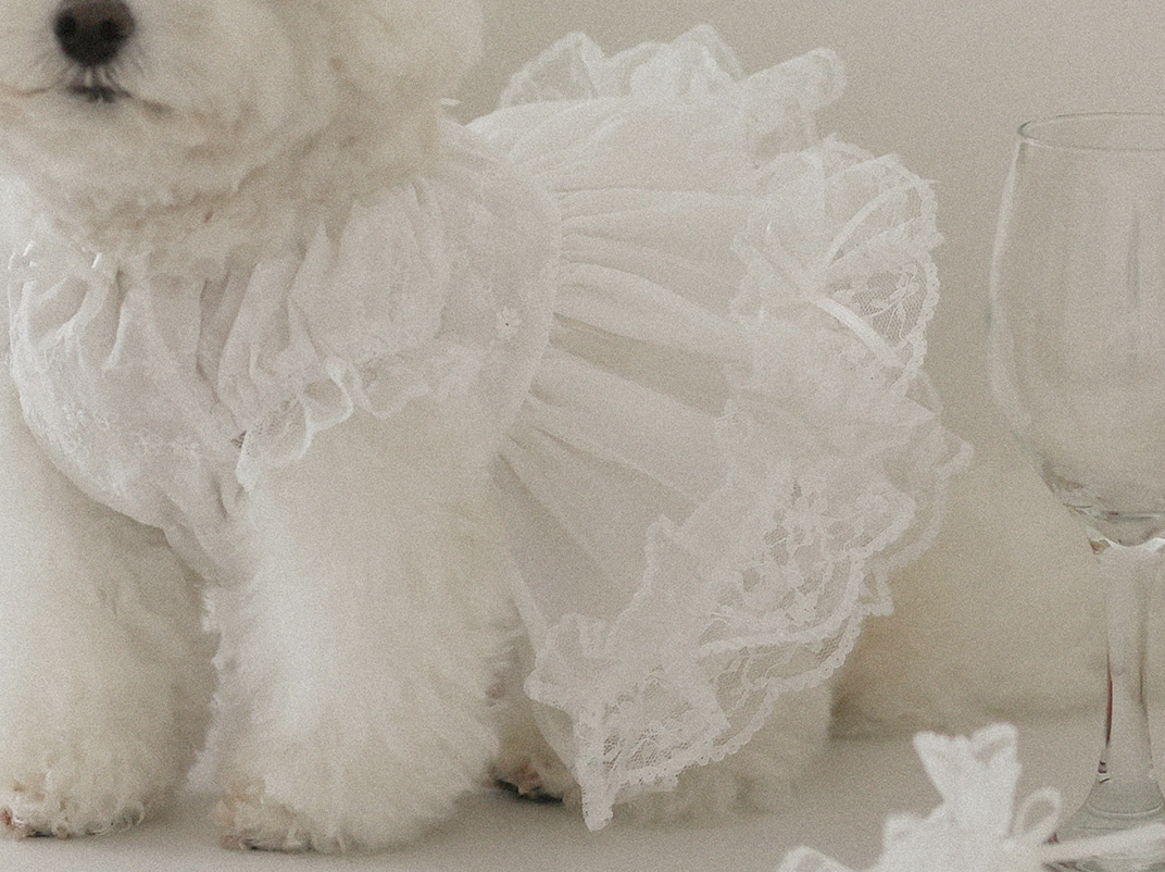 Fall In Love Dress - Pure White