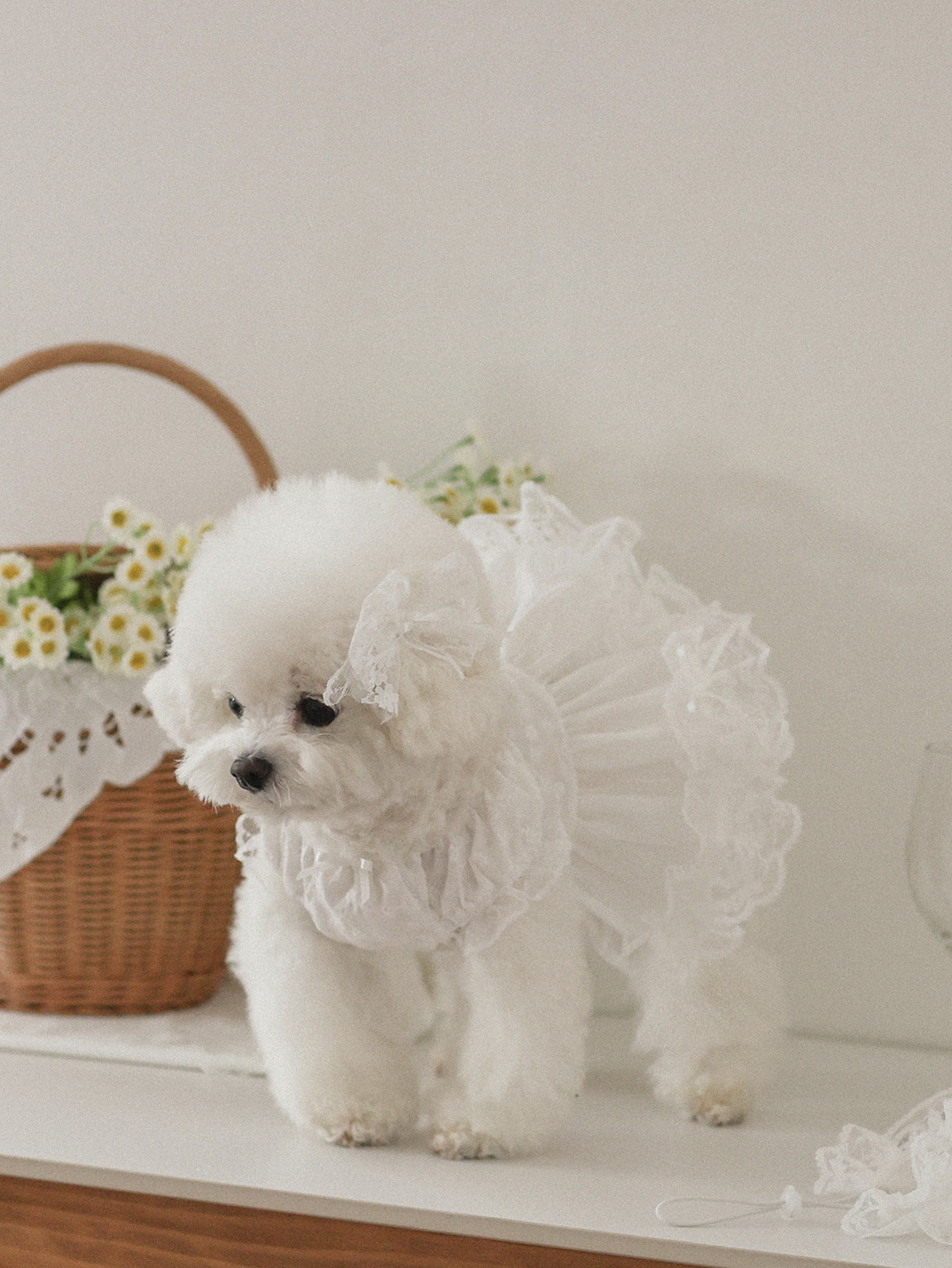 Fall In Love Dress - Pure White