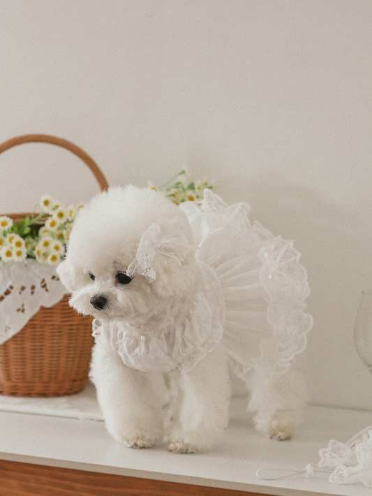 Fall In Love Dress - Pure White