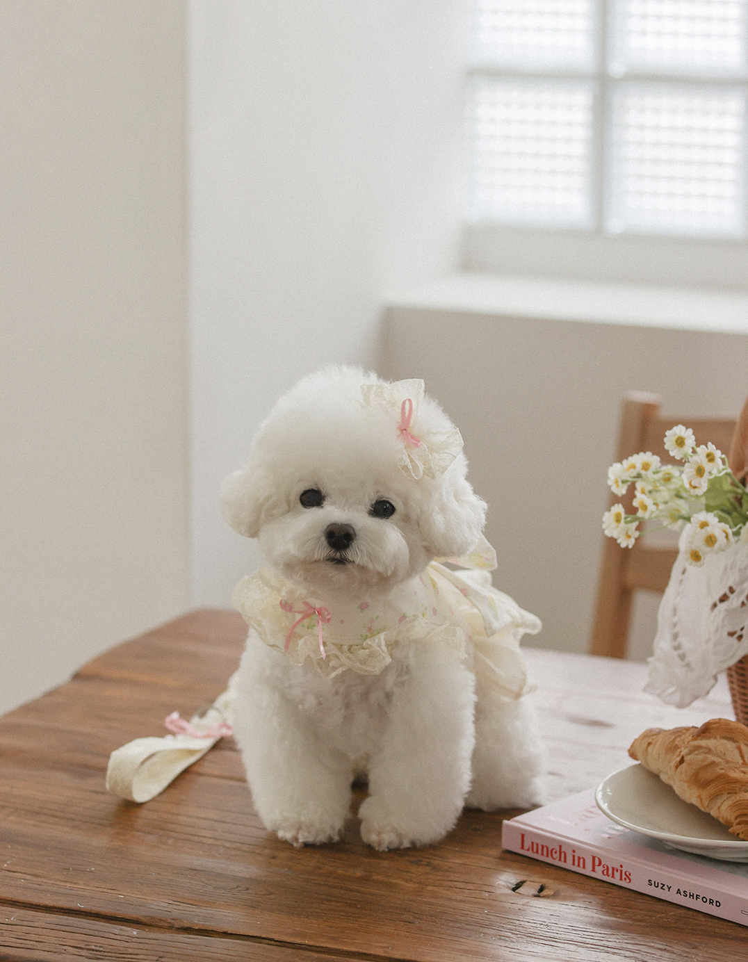 Fall In Love Ice Pocket Harness - Lovely Pink