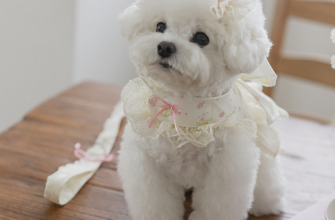Fall In Love Ice Pocket Harness - Lovely Pink