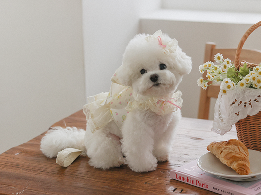 Fall In Love Ice Pocket Harness - Lovely Pink