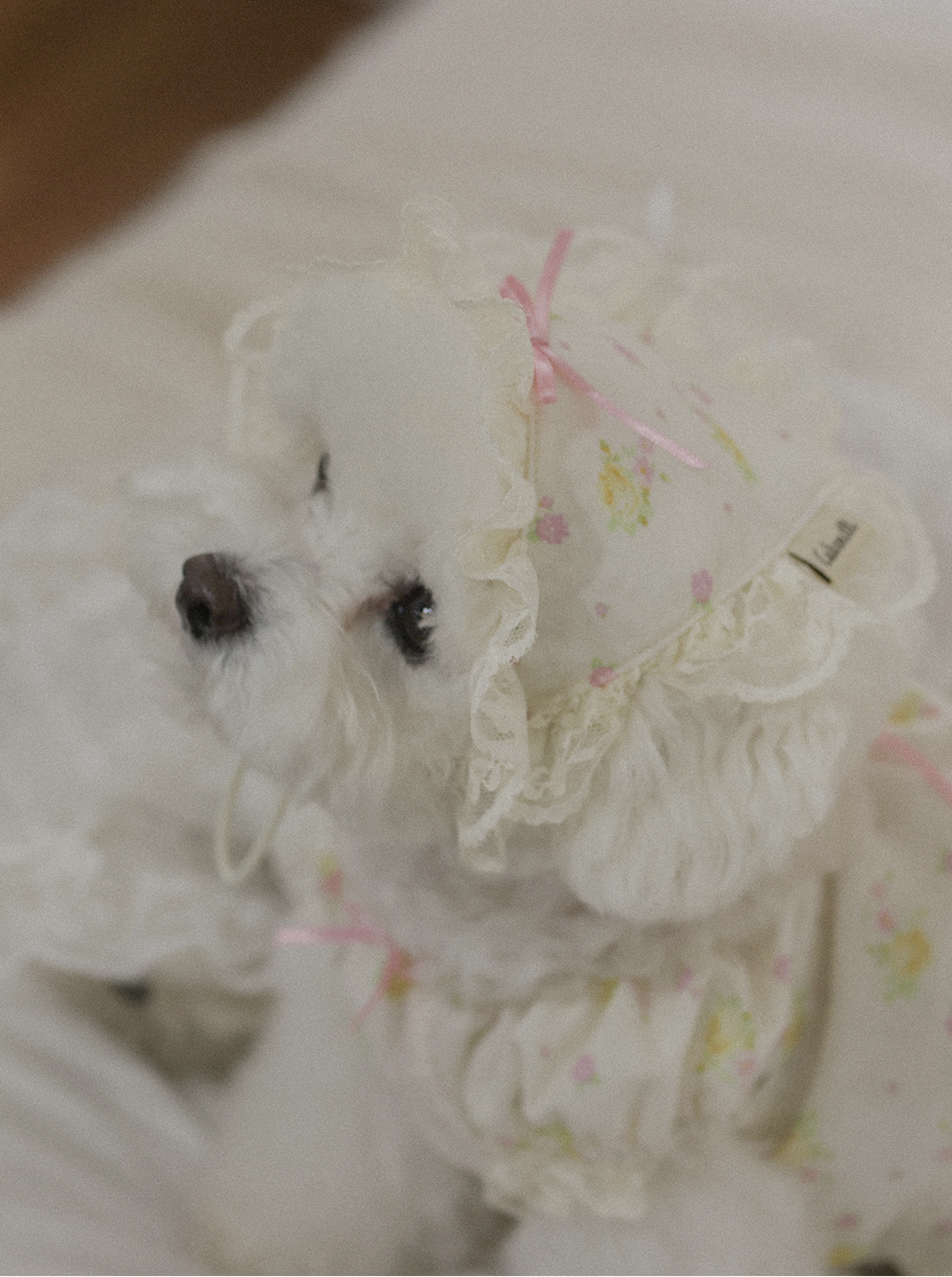 Fall In Love Hairkerchief - Lovely Pink