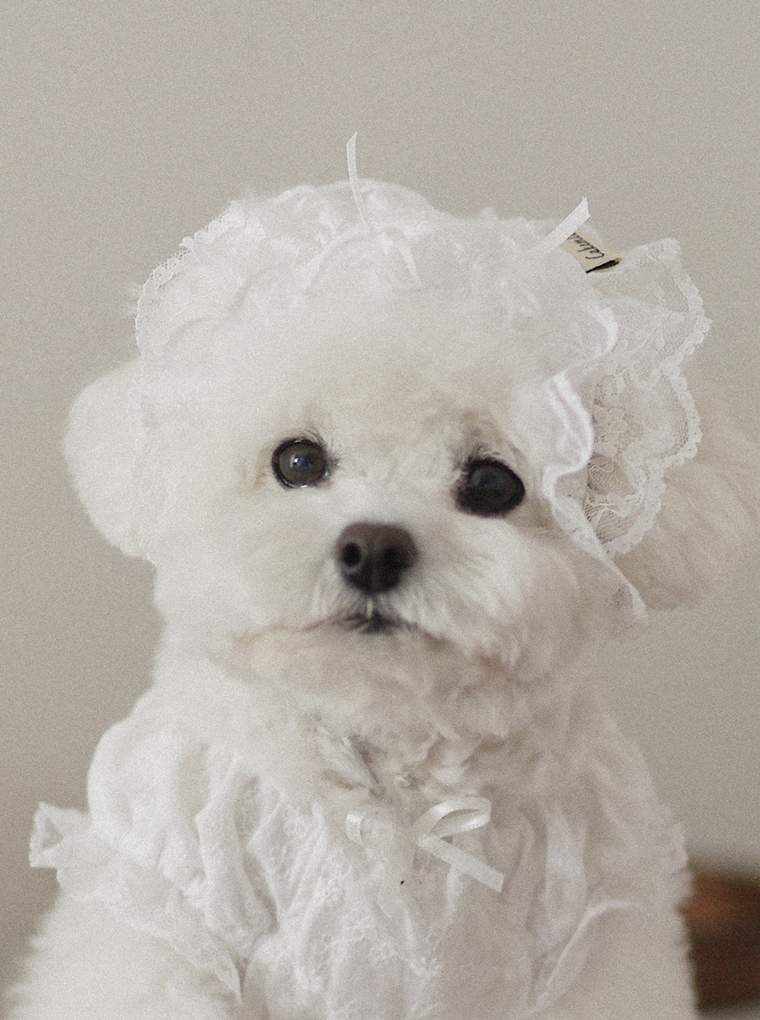 Fall In Love Hairkerchief - Pure White