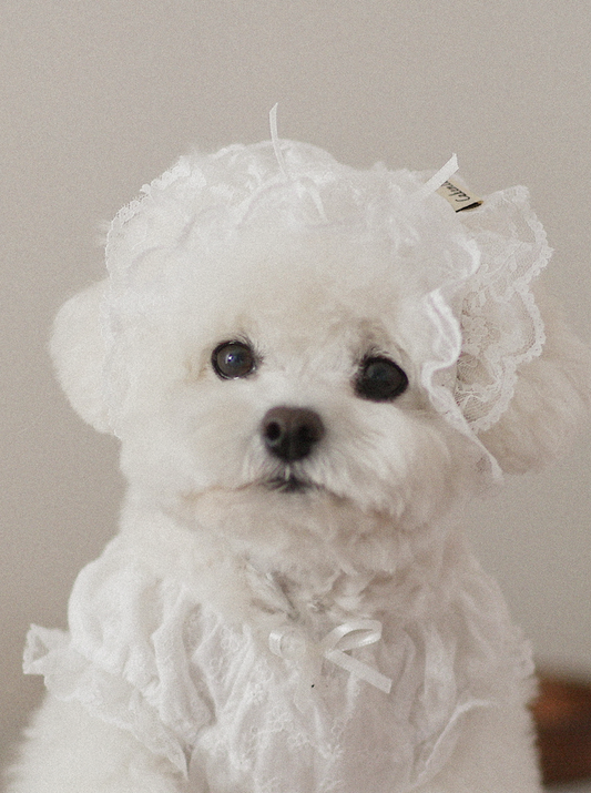 Fall In Love Hairkerchief - Pure White