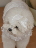 Load image into Gallery viewer, Fall In Love Hairpin - Pure White