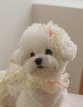 Load image into Gallery viewer, Fall In Love Hairpin - Lovely Pink