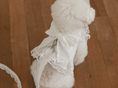 Load image into Gallery viewer, Fall In Love Ice Pocket Harness - Pure White