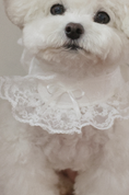 Load image into Gallery viewer, Fall In Love Ice Pocket Harness - Pure White