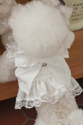 Load image into Gallery viewer, Fall In Love Ice Pocket Harness - Pure White