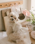 Load image into Gallery viewer, Fairy Tutu Ops