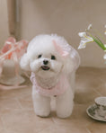 Load image into Gallery viewer, Fairy Tutu Ops