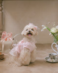 Load image into Gallery viewer, Fairy Tutu Ops