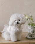 Load image into Gallery viewer, Fairy Tutu Ops