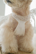 Load image into Gallery viewer, Spring Time Scarf Dress