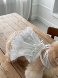Load image into Gallery viewer, Spring Time Scarf Dress