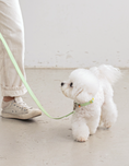 Load image into Gallery viewer, Candy Crayon Leash