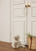 Load image into Gallery viewer, Fall In Love Leash - Pure White