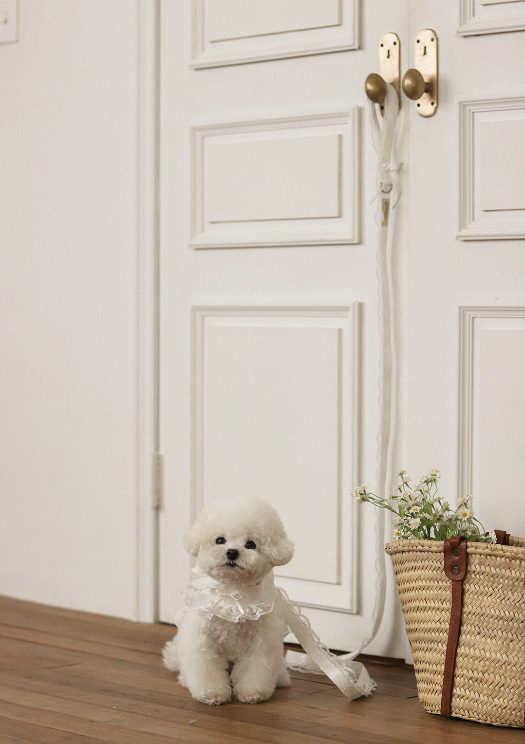 Fall In Love Leash - Pure White