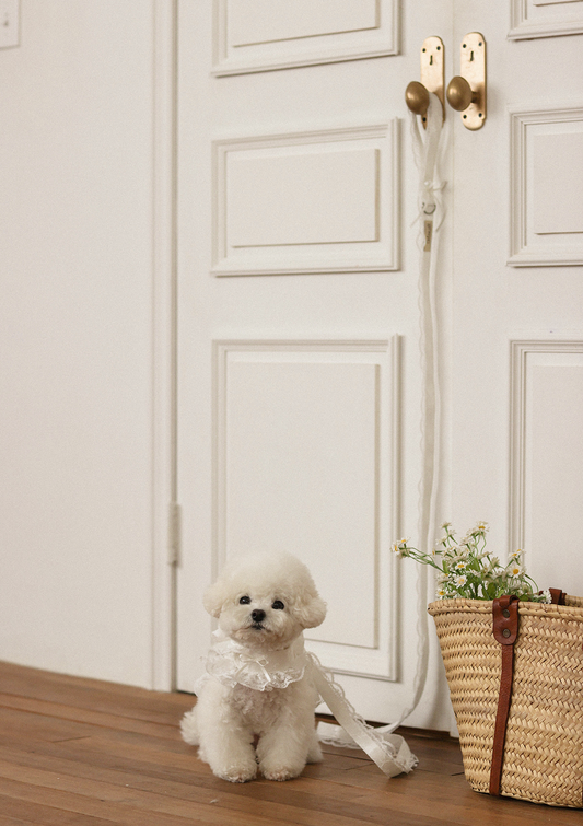 Fall In Love Leash - Pure White
