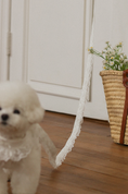 Load image into Gallery viewer, Fall In Love Leash - Pure White