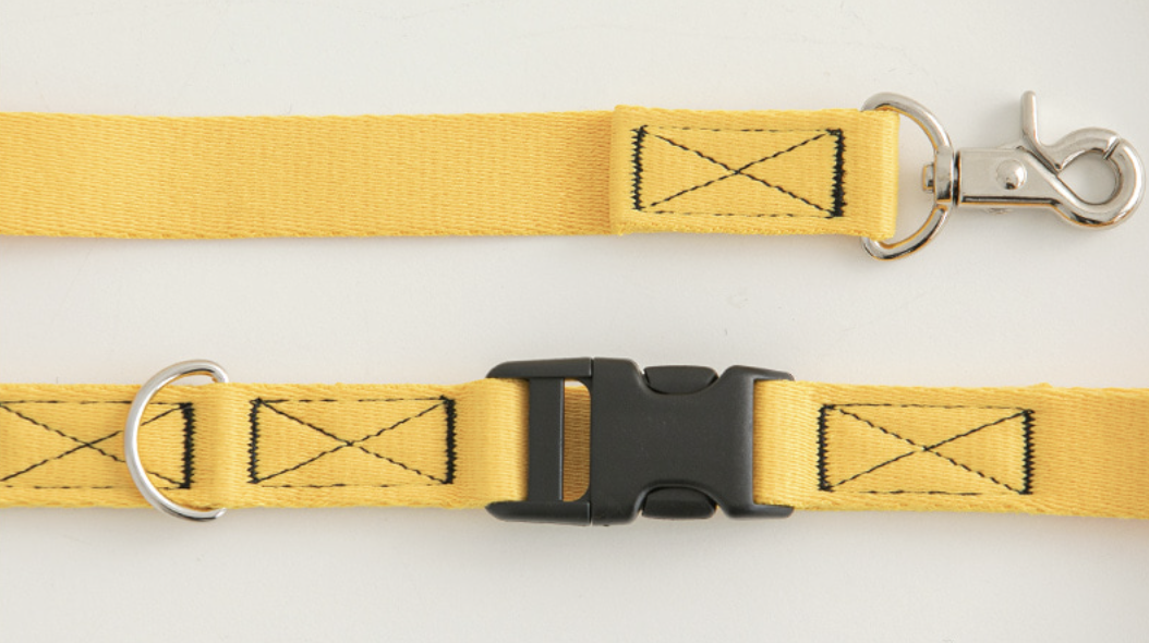 Candy Crayon Leash