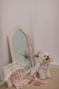 Load image into Gallery viewer, Princess Maker Leash