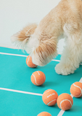 Load image into Gallery viewer, Mini Tennis Ball Toy Set