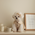 Load image into Gallery viewer, Madeleine Hair Pin