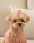 Load image into Gallery viewer, Jelly Bean Hairpin