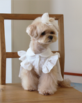 Load image into Gallery viewer, Vanilla Cream Frill Blouse