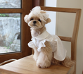 Load image into Gallery viewer, Vanilla Cream Frill Blouse
