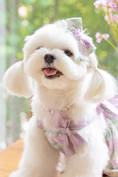 Load image into Gallery viewer, Rose Soufflé Hairpin (2 designs)