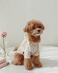 Load image into Gallery viewer, Rose Shirt