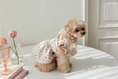 Load image into Gallery viewer, Rose Dress