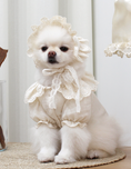 Load image into Gallery viewer, Cream Lace Blouse