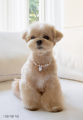 Load image into Gallery viewer, Happy Birthday-Flower Necklace