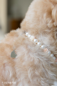 Load image into Gallery viewer, Happy Birthday-Flower Necklace