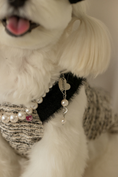 Load image into Gallery viewer, Vanilla Cream Pearl Necklace