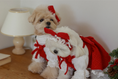 Load image into Gallery viewer, Maranatha Ribbon Bonnet