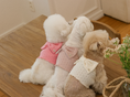 Load image into Gallery viewer, Love Blossom Bustier