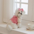 Load image into Gallery viewer, Daisy Stripe Blouse
