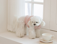 Load image into Gallery viewer, Love Blossom Bustier