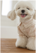 Load image into Gallery viewer, Daisy Stripe Blouse