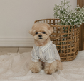 Load image into Gallery viewer, Daisy Stripe Blouse