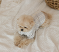 Load image into Gallery viewer, Daisy Stripe Blouse