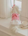Load image into Gallery viewer, Lily Lace Dress